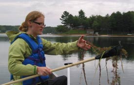 Student in canoe picking up weeds with net
